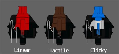 Switches Keyboard Types