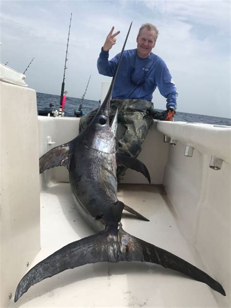 Swordfish Cost Per Pound