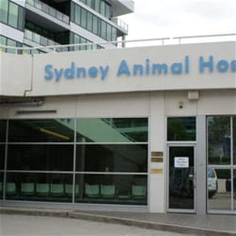 sydney animal hospital bella vista