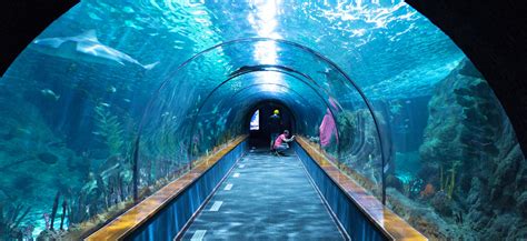 sydney aquarium opening hours