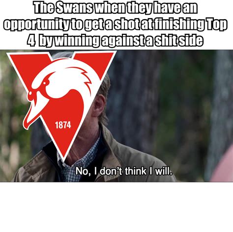 🐣 25+ Best Memes About Sydney Swans Sydney Swans Memes
