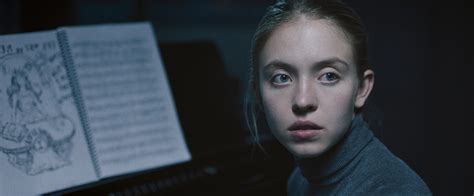 sydney sweeney the nocturne