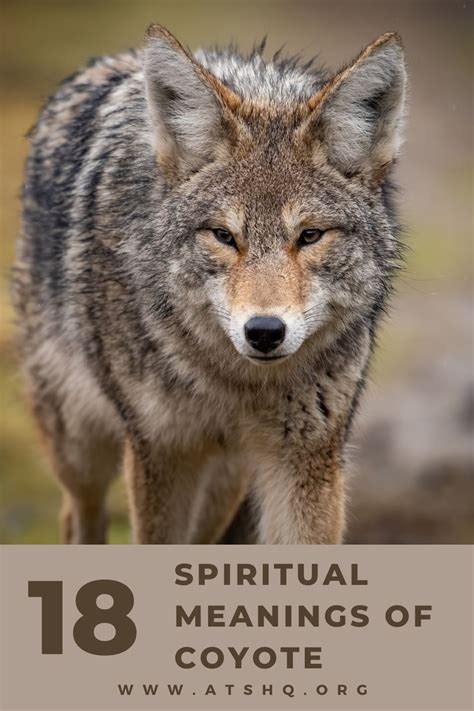 symbolic meaning of coyote