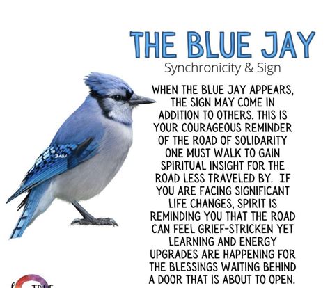 symbolism of seeing a blue jay