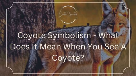 symbolism of seeing a coyote