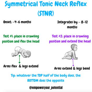 symmetric tonic neck reflex stnr