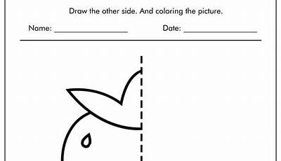 Symmetry Drawing Worksheets