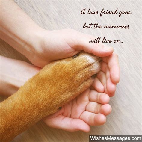 sympathy message for loss of a pet
