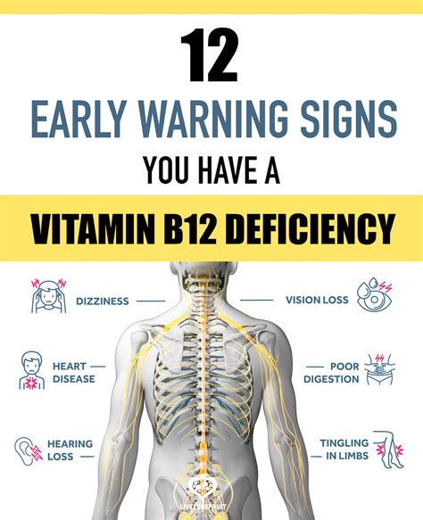 7 Warning Signs of Vitamin B12 Deficiency Infographic