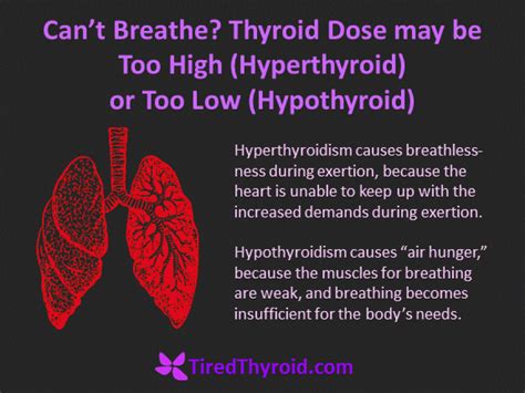 Hypothyroidism the Symptoms, Cause, and First Steps to