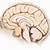 symptoms of brain tumor near pituitary gland