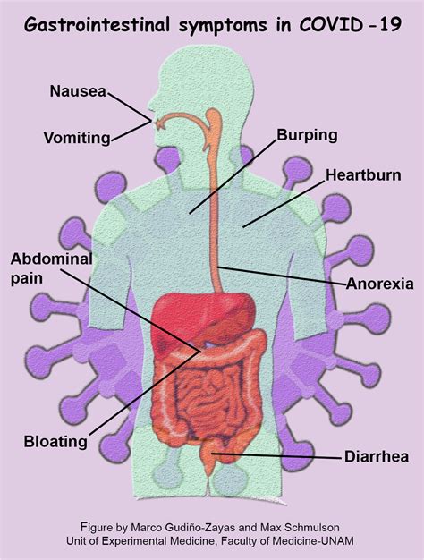 Gastrointestinal Symptoms Common in COVID19 Patients