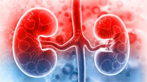 COVID19 Infection in Kidney Transplant Recipients