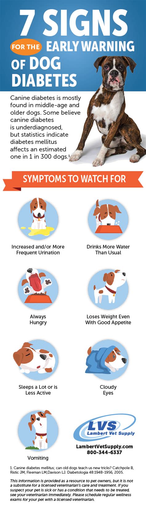 Know The Signs of Canine Diabetes and What You Can Do If