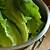 symptoms of food poisoning from romaine lettuce