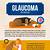 symptoms of glaucoma in dogs