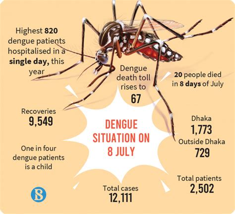 symptoms of dengue fever in bangladesh