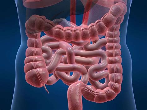 Recognizing Symptoms of Intestinal Blockage: A Comprehensive Guide