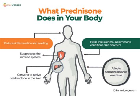 symptoms while taking prednisone to report any unexpected changes
