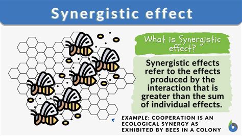 synergistic effect meaning