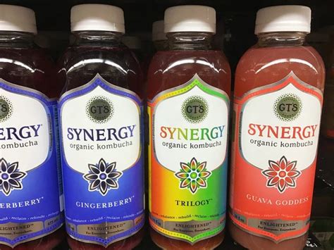 synergy kombucha owner