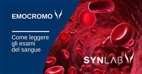 synlab esami del sangue