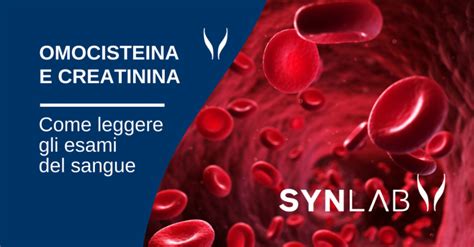 synlab prenotazione esami sangue