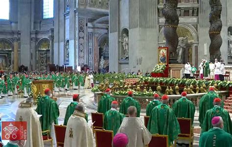 synod of bishops in rome