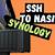synology ssh