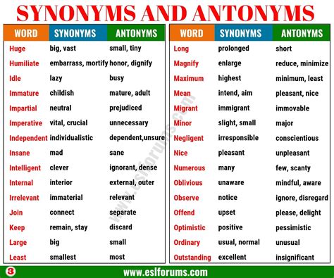 synonym and antonym dictionary