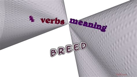 Unveiling the Tapestry of Dog Breeds: A Journey Through Synonymity