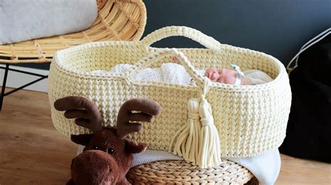 Synonym Moses Basket