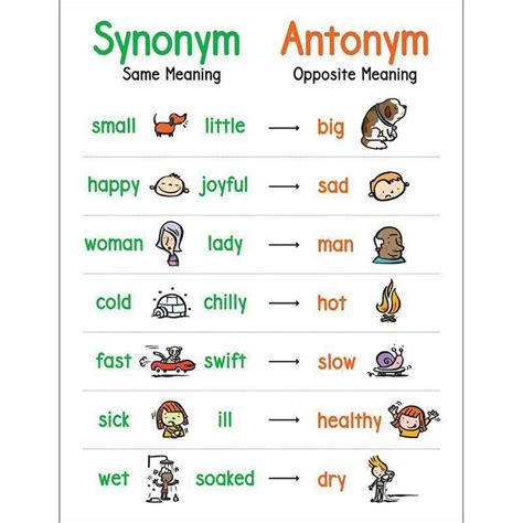 synonyms and antonyms examples for kids