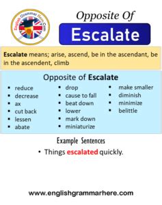 synonyms of escalate