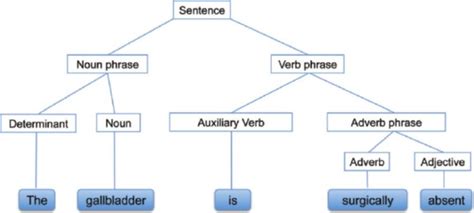 syntactic analysis of the sentence examples