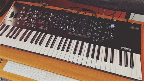 Synth One Shots Reddit