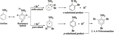 Synthesis of 2,4,6tribromoanilinebased benzoxazine monomers (Ptba