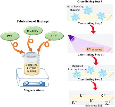 Synthesis Of Hydrogel