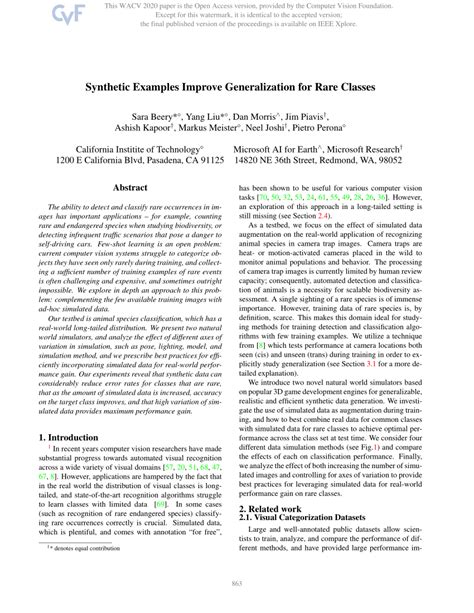 Synthetic Examples Improve Generalization For Rare Classes