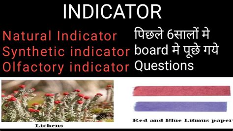 Synthetic Indicators Examples Class 10