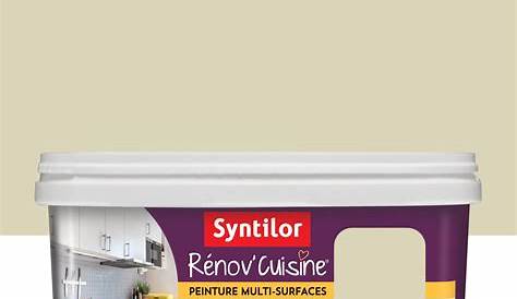 Syntilor Renov Cuisine Couleur Peinture Avis Livreetvin.fr
