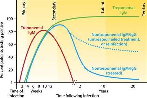 syphilis serology