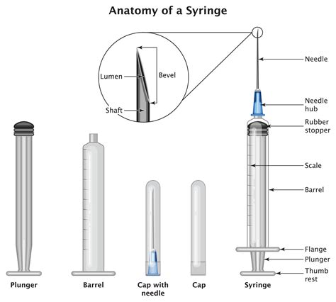 Syringe Definition Dental