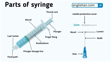 Syringe Uses And Functions