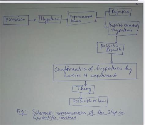 System Approach B.ed Notes