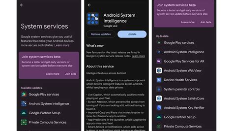 System Upgrade Services App