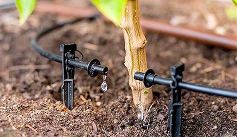 Systeme Goutte A Goutte Pin On stuces Jardinage Plantes Et rrosage