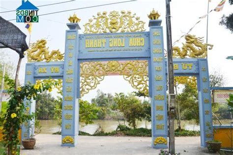 tân lập tân thạnh long an