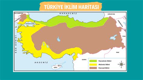 türkiye'de görülen iklim tipleri