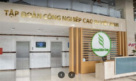 tập đoàn công nghiệp cao su việt nam vrg